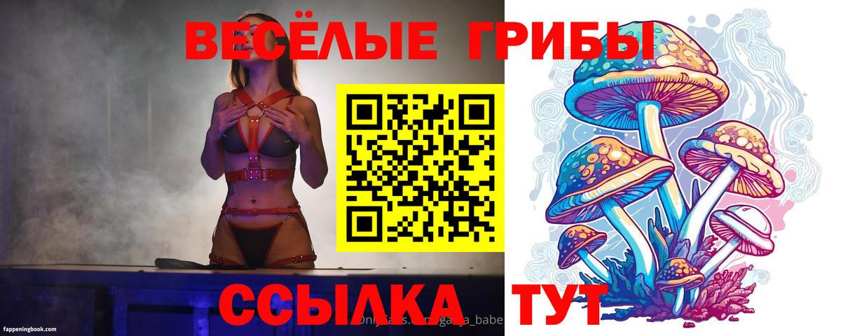 закладка  Псилоцибиновые грибы GOLDEN TEACHER  Вход с VPN  Рузаевка 